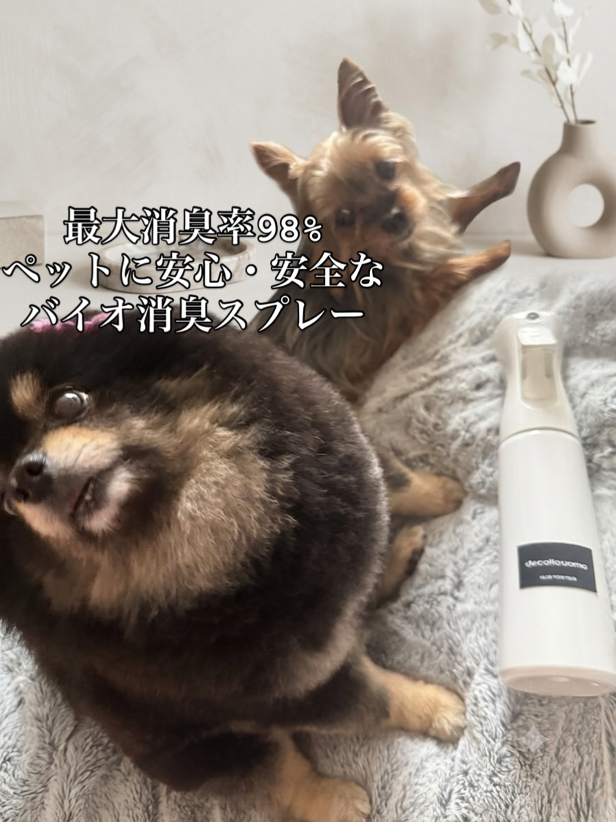 Instagramに投稿されたbioodorの使用シーン 18