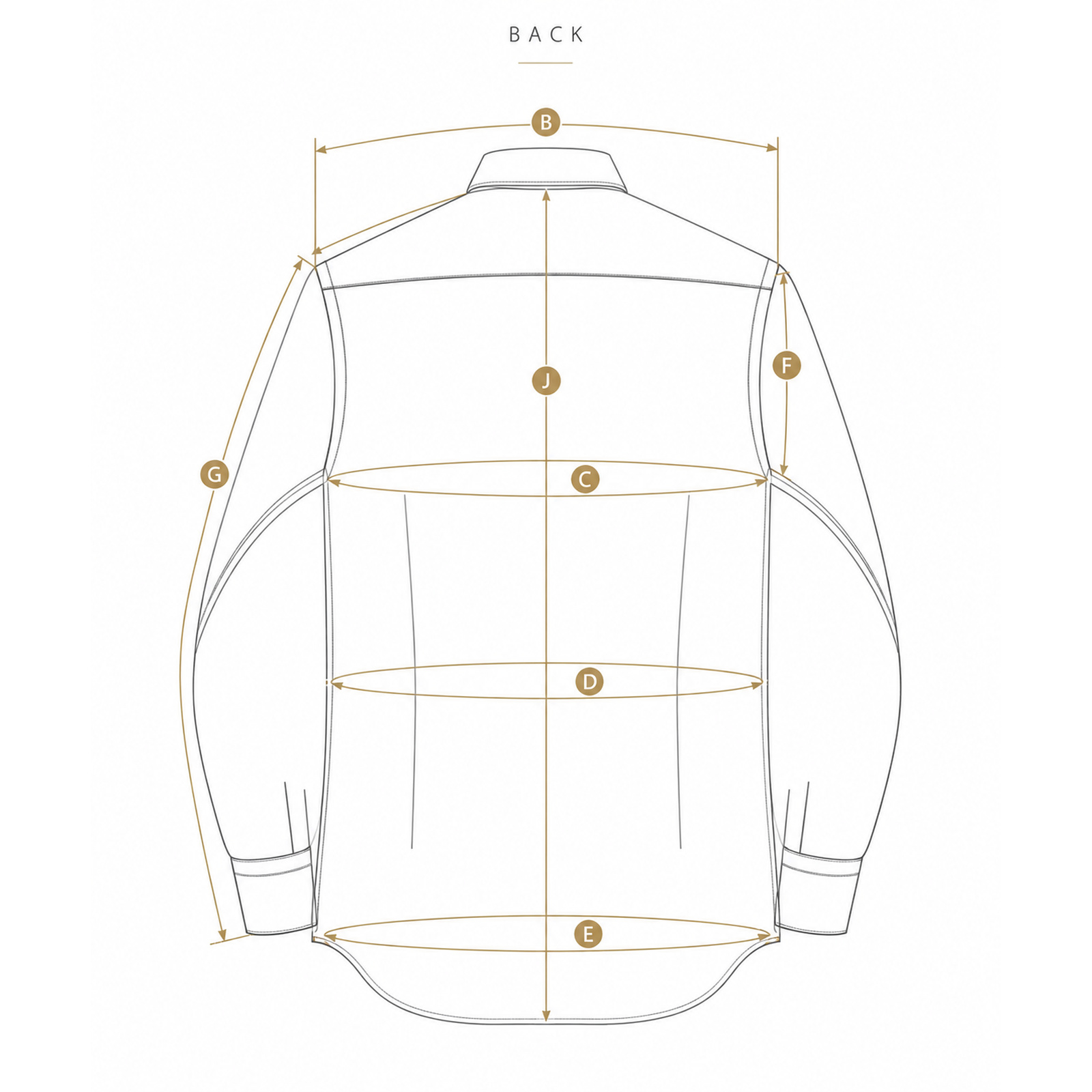 オーダーシャツ採寸 BACK
